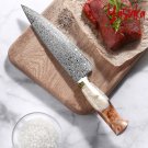 Damascus Kitchen Knives Premium Quality Chef's Knife Red Blue White Green Handle Damascus Kitchen Knives Premium Quality Chef's Knife Red Blue White Green Handle