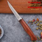 Chef Kitchen Knife Universal Home Cooking BBQ Camping Fishing Butcher Tools NEW Chef Kitchen Knife Universal Home Cooking BBQ Camping Fishing Butcher Tools NEW