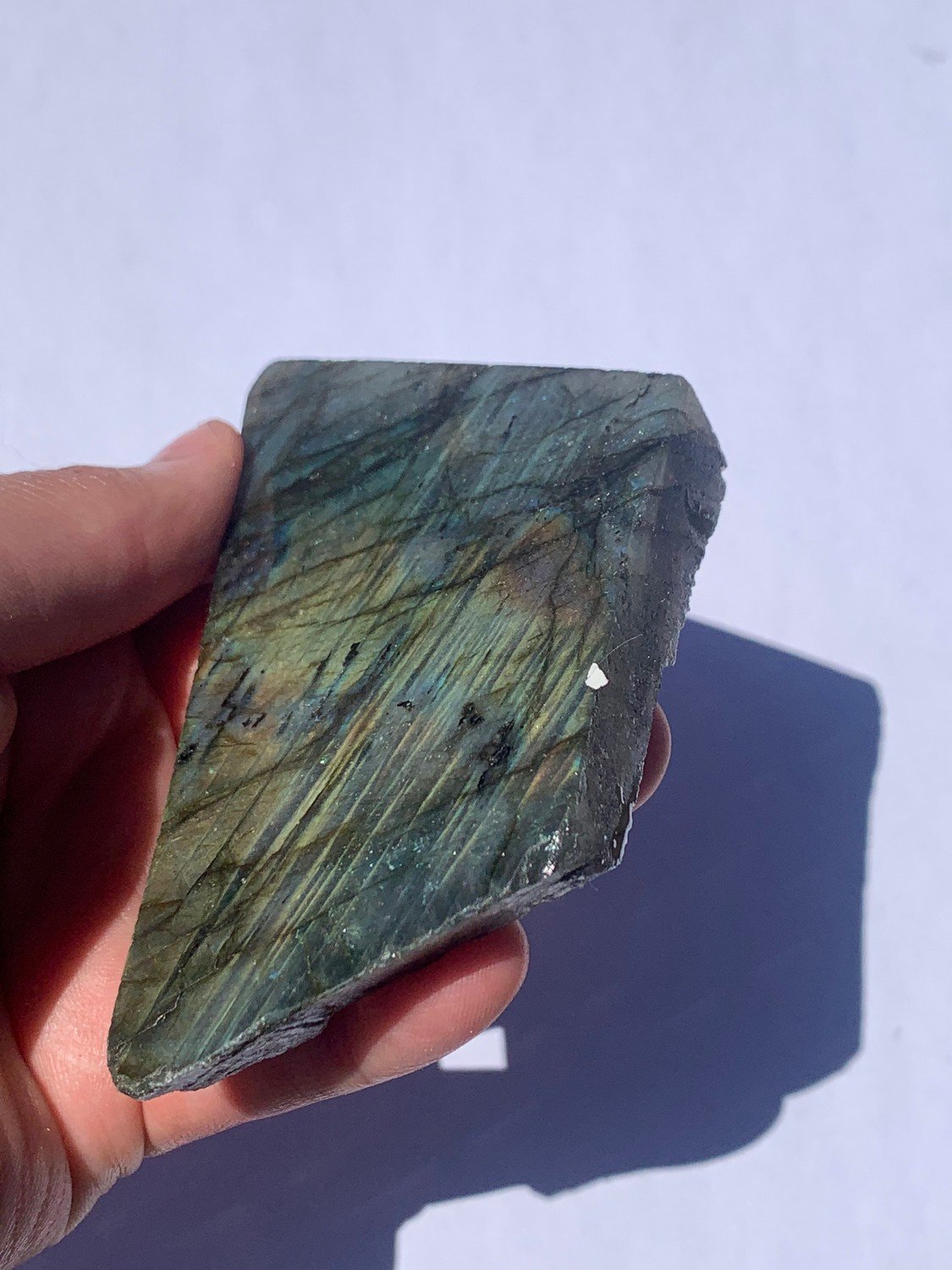 Thick Cut High Flash LABRADORITE Polished Specimen Slab #23