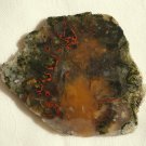 Mexican Mystery Moss Agate Cabbing Slab, Green Gold w/ Red Swirls
