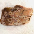Moroccan Apple Valley Agate Slab 4, Translucent Color Fortification Drusy Pockets