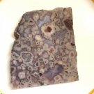 Thick Fish Eye Agate Slab Ghost Fortifications, Ocean Agate Specimen Display 8oz