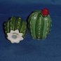 Salt Pepper Shaker Cacti Small green Desert Cactus red blossom Barrel Cactus No. 88