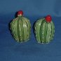 Salt Pepper Shaker Cacti Small green Desert Cactus red blossom Barrel Cactus No. 88