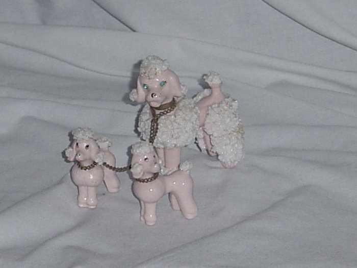 vintage spaghetti poodles