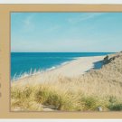 Meadow Beach Cape Cod MA Massachusetts USA Chrome Postcard