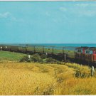 Train in Sylt island Germany Postcard