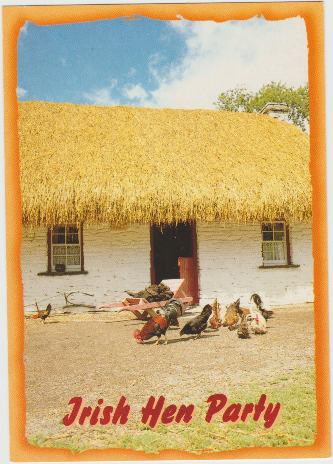 Irish Hen Party Ireland Postcard