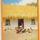 Irish Hen Party Ireland Postcard