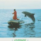 Fungie The Dolphin Delights Visitors To Dingle Harbour Ireland Postcard