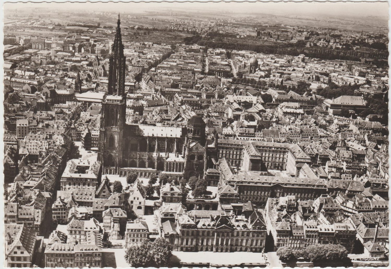 RPPC Strasbourg Cathedrale Aerial View Postcard