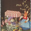 Easter Bunny Postcard
