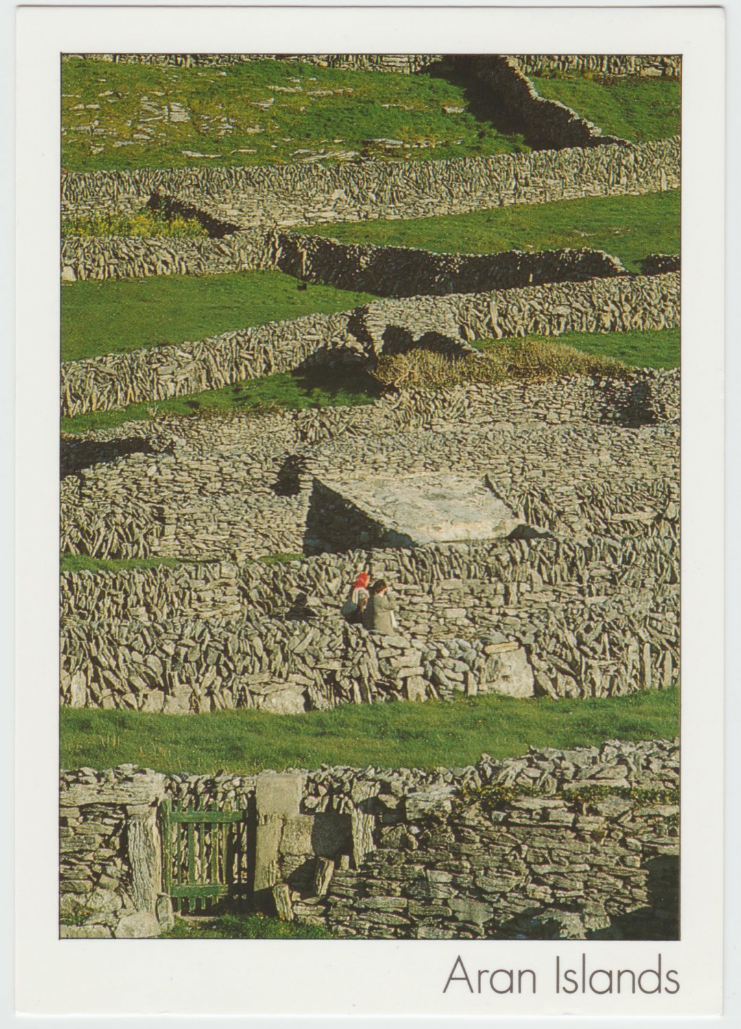 Aran Islands Ireland Postcard