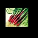 Red Beard Japanese Bunching Onion seeds Rare Delicious violet stalk scallion Red Beard Japanese Bunching Onion seeds Rare Delicious violet stalk scallion
