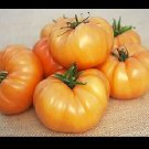 Kellogg's Breakfast Tomato 25 - 1000 Seeds Heirloom Unique Bulk Very Productive!