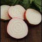 Mammoth Red Mangle beet 25-3200 Seeds Giant up to 25 POUNDS! Heirloom non-GMO