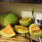 Missouri Heirloom Yellow Flesh 7 Seeds Extremely Rare Watermelon Limited Amount Missouri Heirloom Yellow Flesh 7 Seeds Extremely Rare Watermelon Limited Amount