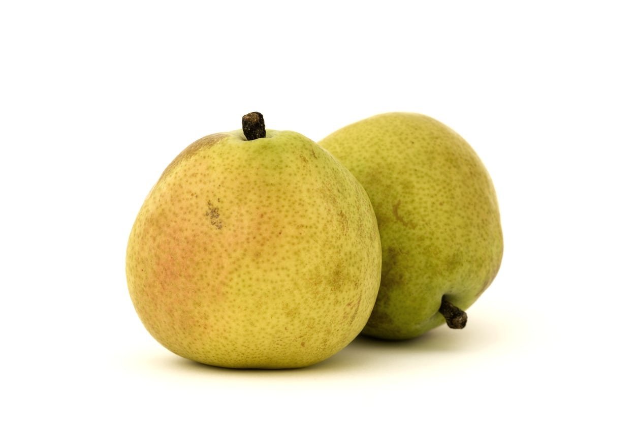 8 ANJOU Pear FRUIT TREE (FF) Cutting Rooting Grafting Scion Wood SCIONWOOD 10-12.