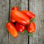 Bulk Tomato Seeds - "Roma" Lycopersicon esculentum "Roma"