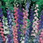1 oz Larkspur Seeds, Giant Imperial Mix, Bulk Seeds, Heirloom Seeds, approx 9000