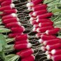 100 Radish Seeds, French Breakfast, Heirloom Radishes, Non-Gmo, Crisp & Mild 100ct