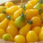 50 Tomato Seeds, Yellow Pear, Non-Gmo Heirloom Yellow Tomato, Very Large Crops 50ct