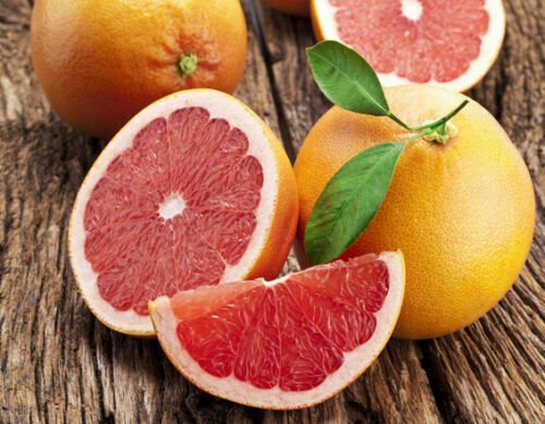 toronja rosada pink grapefruit live tree plant 2'' to 3''