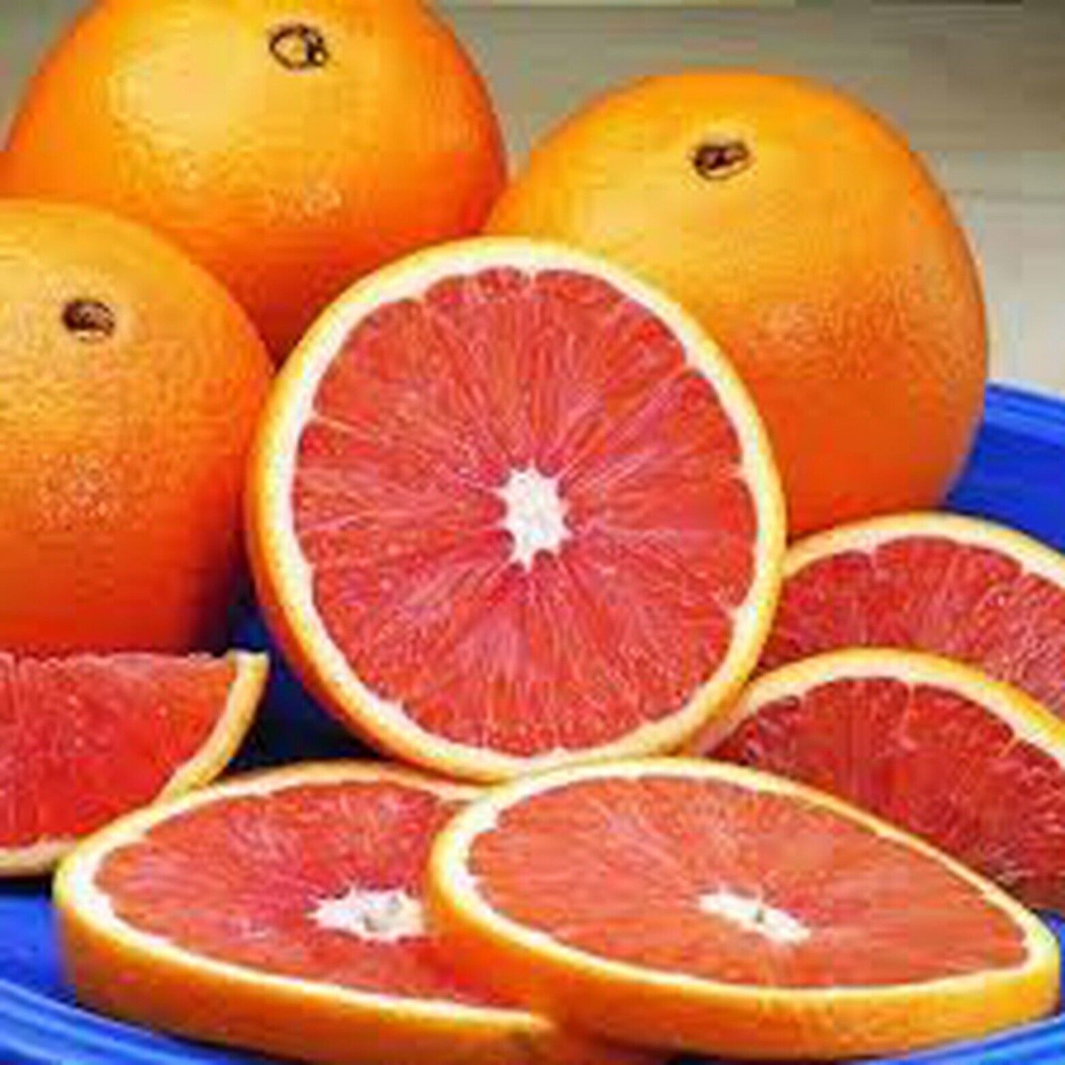 5 Gallon Cara Cara Navel Orange Tree, grafted