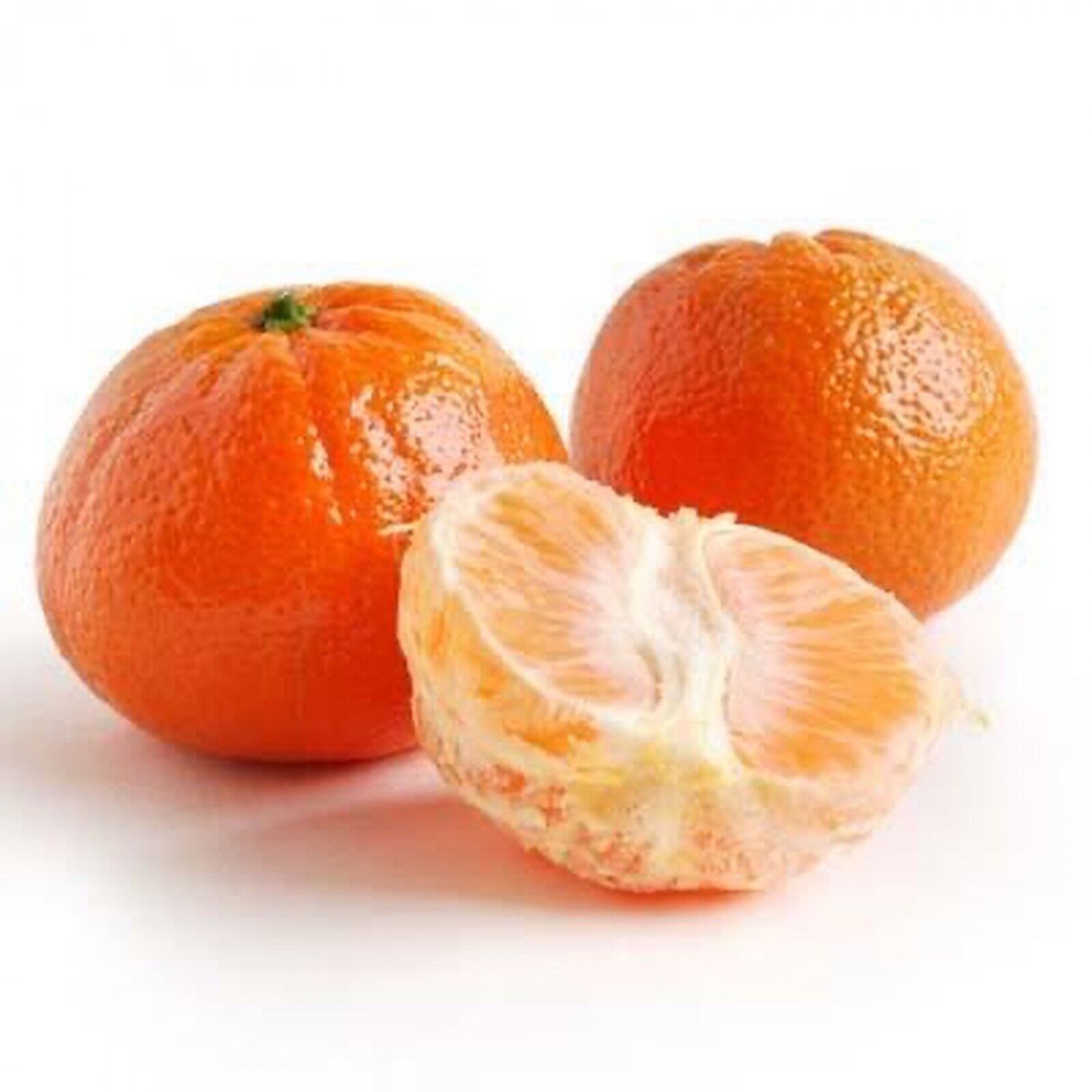 California only!! Tango Mandarin Tree 18-36 Inches tall, grafted tree