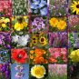 WILDFLOWER MIX EARLY BIRD - 1 Oz Bulk ct for germination