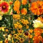 WILDFLOWER MIX ORANGE - 1 Oz Bulk ct for germination