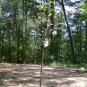 4'-6' Live Fuji Apple Fruit Tree 5 G Trees Plant Sweet Juicy Apples Orchard Home