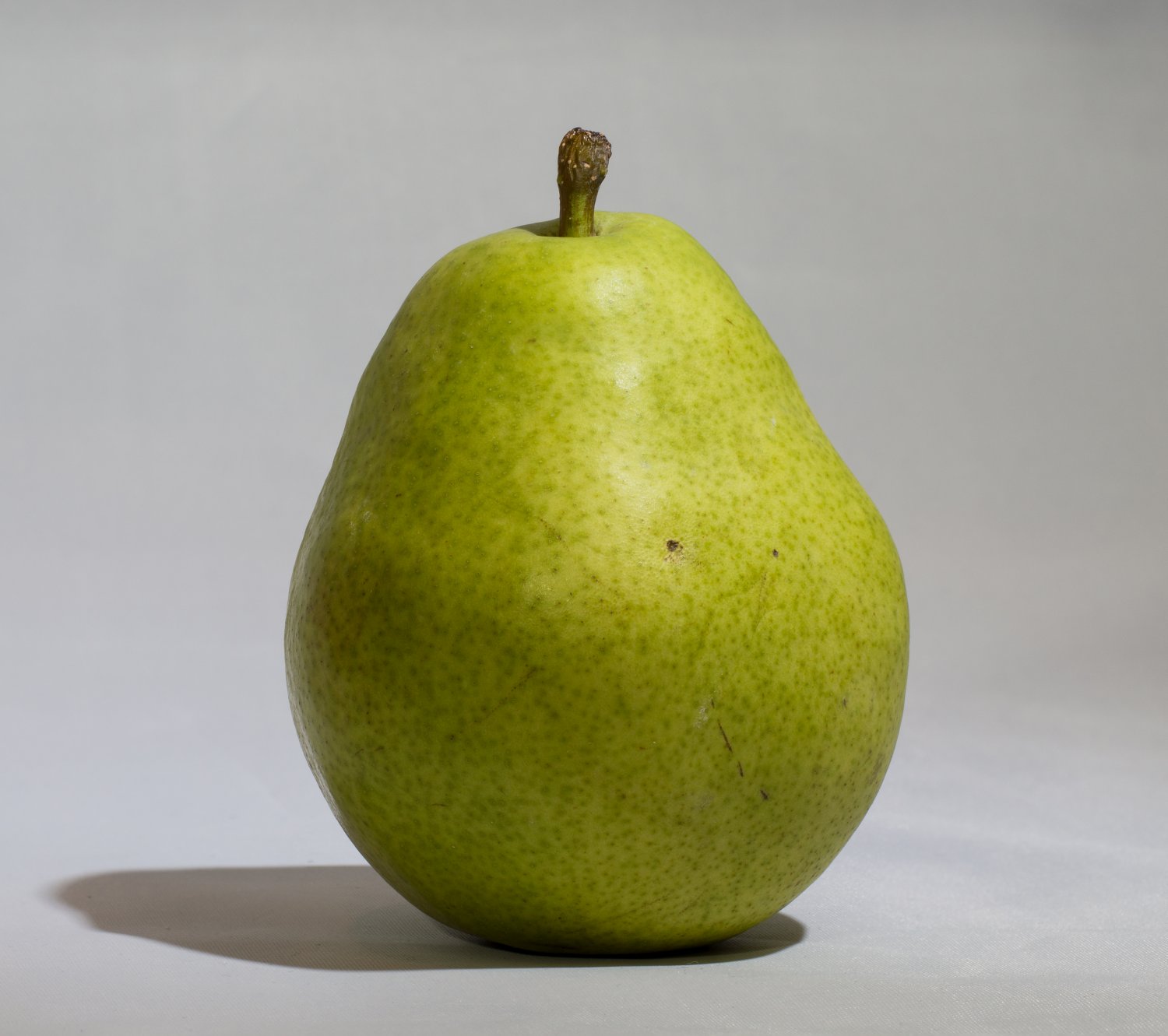 BEURRE D'ANJOU PEAR 4'-6' Tree Plants Fruit Trees Plant Sweet Delicious Pears