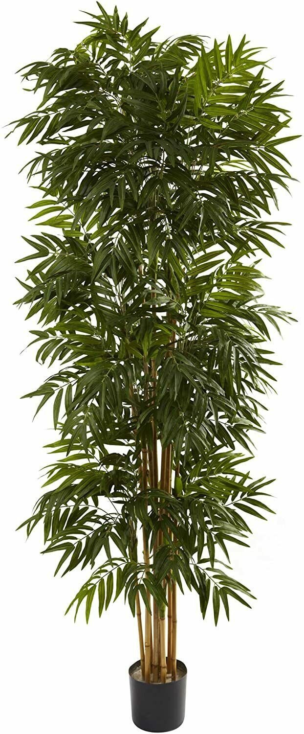 7.5&acirc;�� Phoenix Palm Silk Tree Green Artifical 1988 leaves Great for home or office, Live plant