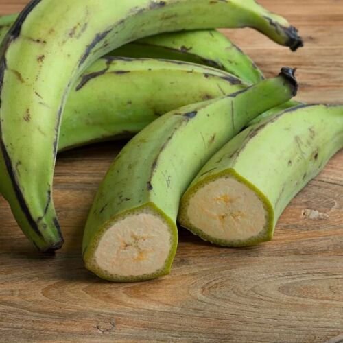 Plantains (Musa × paradisiaca ) live fruit tree 12”24”