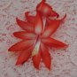 Cactus Starter Plant ~~Bristol Joy~~ Schlumbergera Truncata