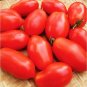 RIO GRAND TOMATO HEIRLOOM LIVE PLANTS LIVE STARTER PLANTS 4-6 IN SET OF 2