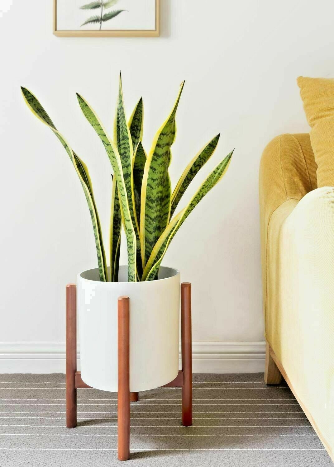 Mid Century Modern Plant Stand Wood Pot Flower Holder Display Rustic Decor 10"