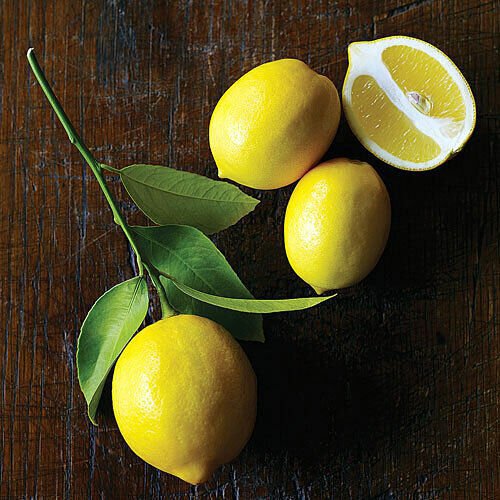Meyer Lemon Tree - 26-30" Tall - Live Fruit Plant - Gallon Pot - Citrus &Atilde;� meyeri