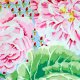 Kaffe Fassett Fabric