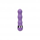 Multi-speed G Spot Vaginal Clitoris Vibrator