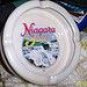 Brand New,  Niagra Falls Ashtray