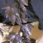 Pair of Solid Brass Vintage Candle Sconces
