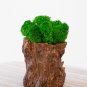 Moss pot, preserved moss decor, moss decor for table, eco friendly gifts ideas