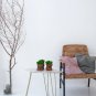 Moss pot, preserved moss decor, moss decor for table, eco friendly gifts ideas