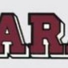 ARMY PARATROOPER SILVER WINGS CAR WINDOW  19" STRIP DECAL