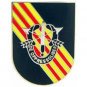 ARMY SPECIAL FORCES SHIELD GREEN BERET VIETNAM BADGE PIN
