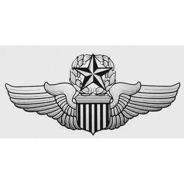 USAF AIR FORCE COMMAND PILOT WING 5.5 INCH MILITARY DECAL STICKER  MILITARY