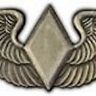 AIR FORCE ARMY WASP  WING BIG 2 3/4   PEWTER  PIN