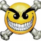 SMILY FACE BONES BIKER HELMET LAPTOP TOOLBOX BUMPER STICKER DECAL MADE IN USA
